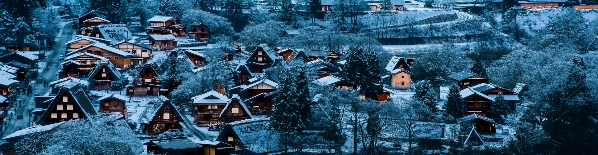 Travel To Japan From Delhi - Banner 3